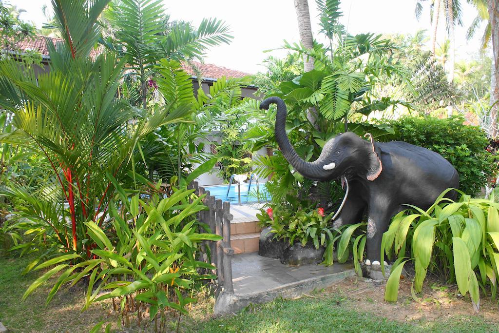 Pahalage Guesthouse Beruwala Exterior foto